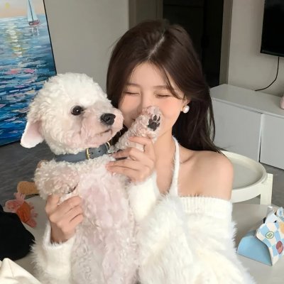 王小毛的奇幻人生
