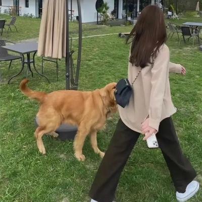 恶魔人：哭泣之子